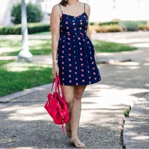 J Crew Watermelon Sun Dress in Navy